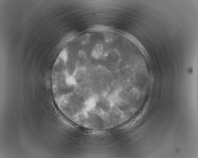 X0000116800857201001291538