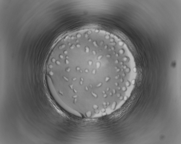 X0000116800858201001291538