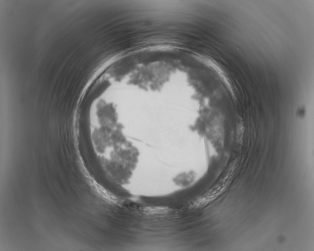 X0000116800859201001291538