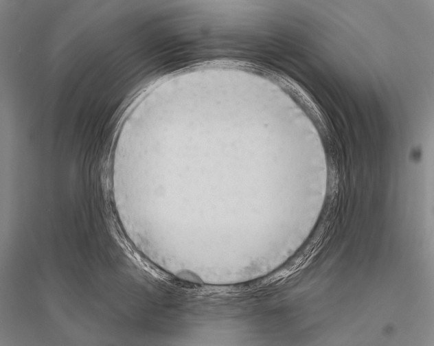 X0000116800860201001291538