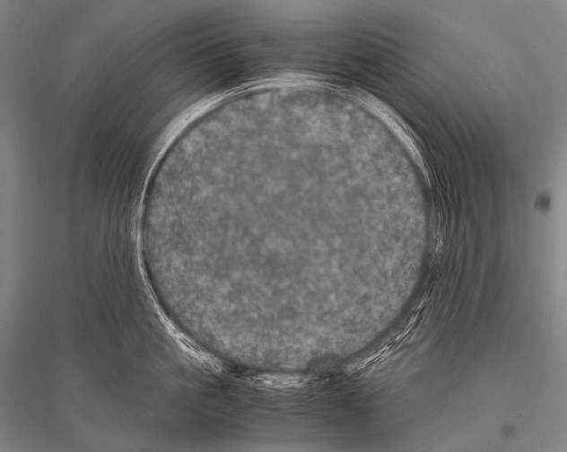 X0000116800861201001291538