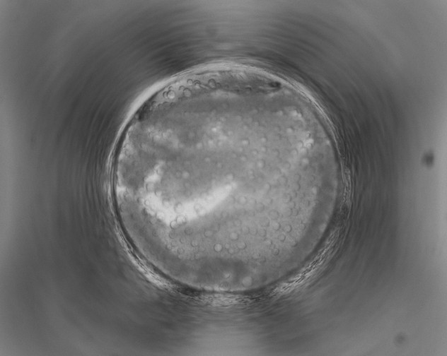 X0000116800862201001291538