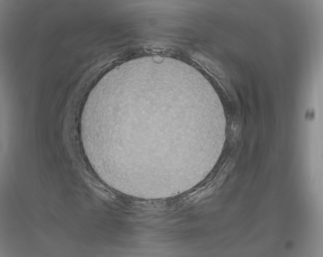 X0000116800865201001291538