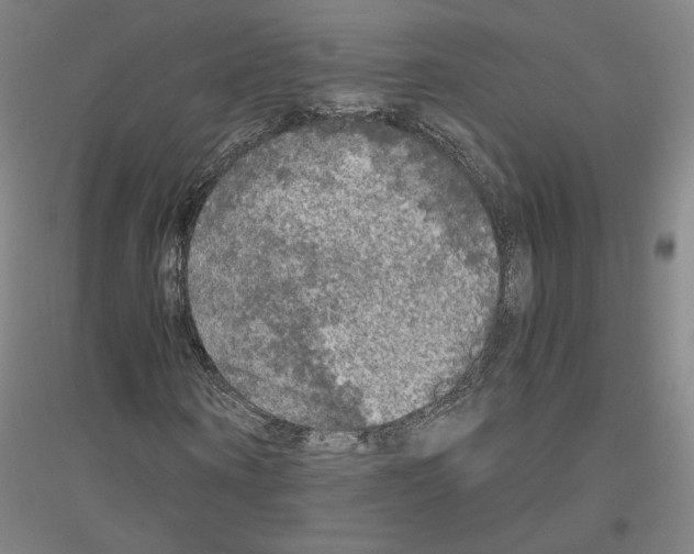 X0000116800866201001291538
