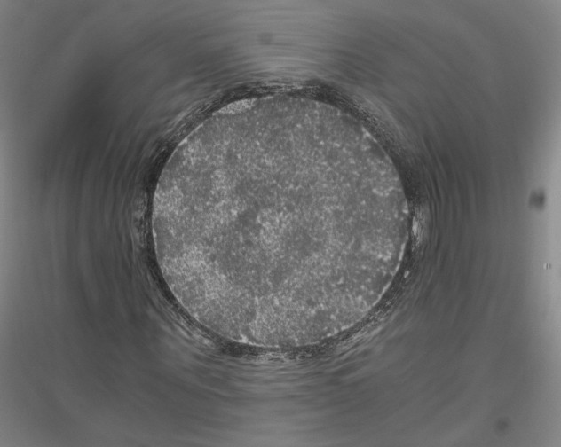 X0000116800867201001291538