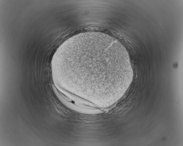 X0000116800868201001291538