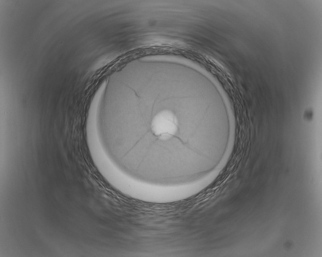 X0000116800869201001291538