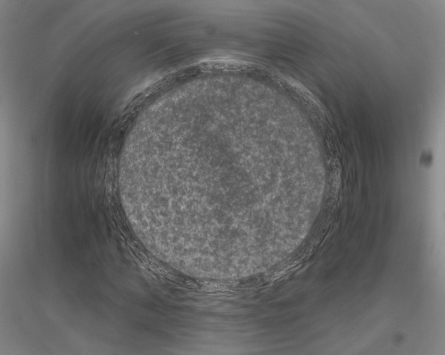 X0000116800870201001291538