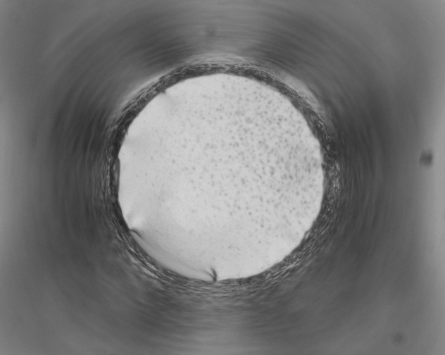 X0000116800872201001291538