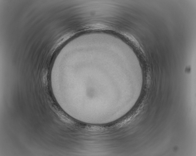 X0000116800873201001291538