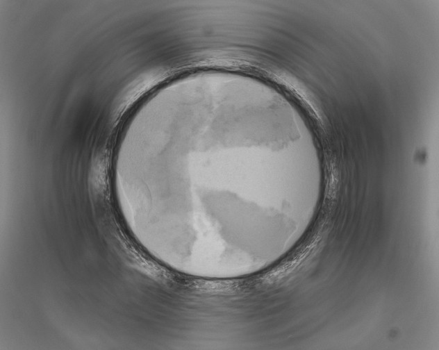 X0000116800874201001291538