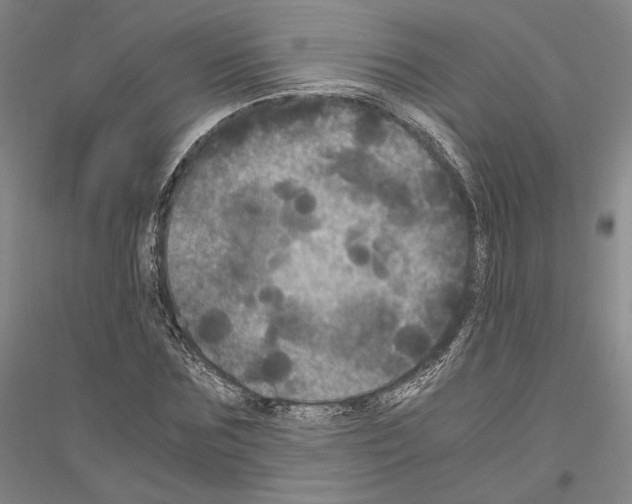 X0000116800875201001291538