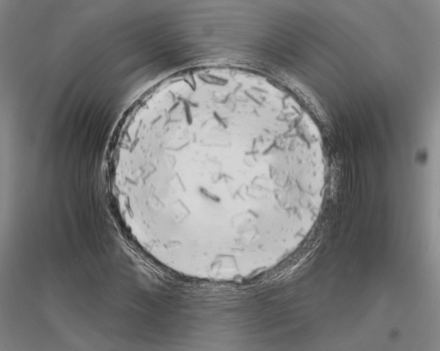 X0000116800876201001291538