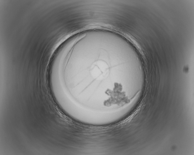 X0000116800877201001291538