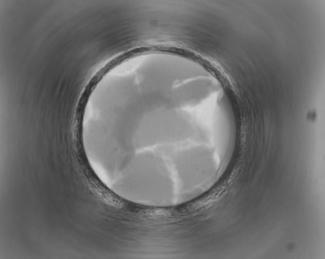 X0000116800879201001291538