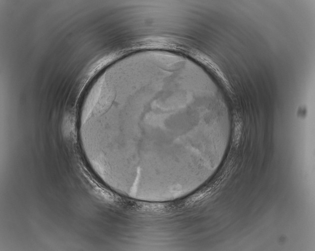 X0000116800882201001291538