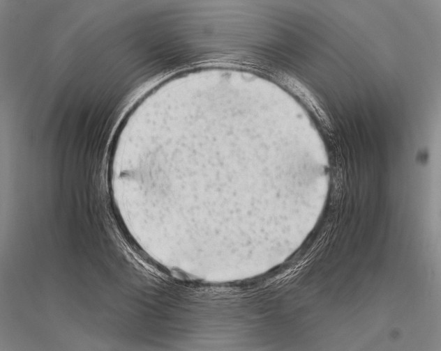 X0000116800884201001291538
