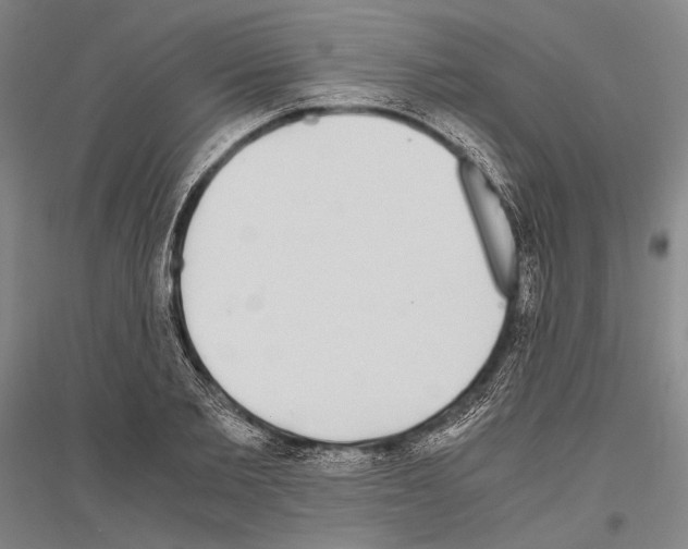 X0000116800885201001291538