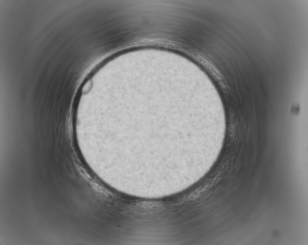 X0000116800888201001291537