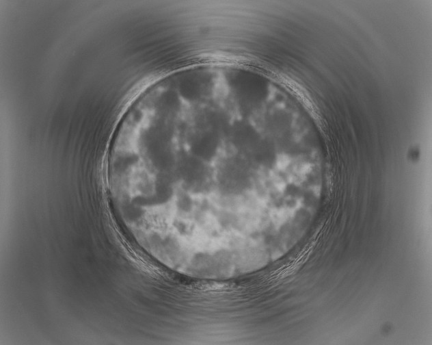 X0000116800891201001291537