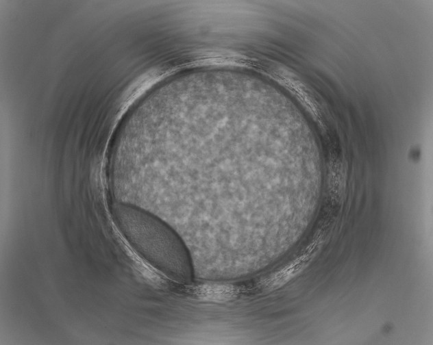 X0000116800893201001291537