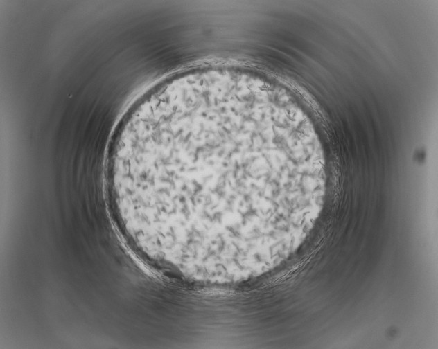 X0000116800894201001291537