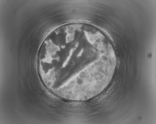X0000116800895201001291537