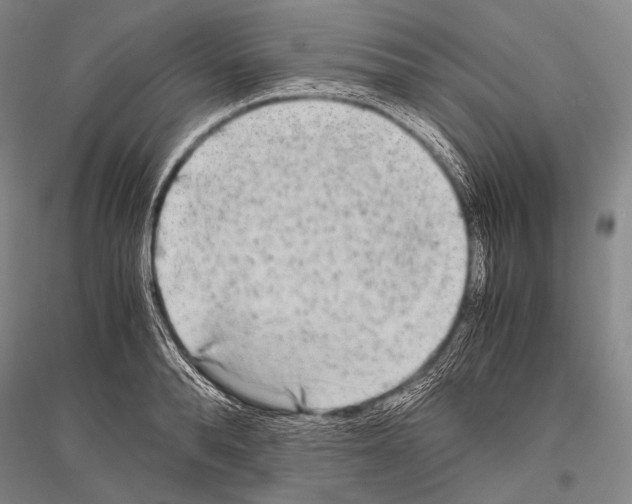 X0000116800896201001291537