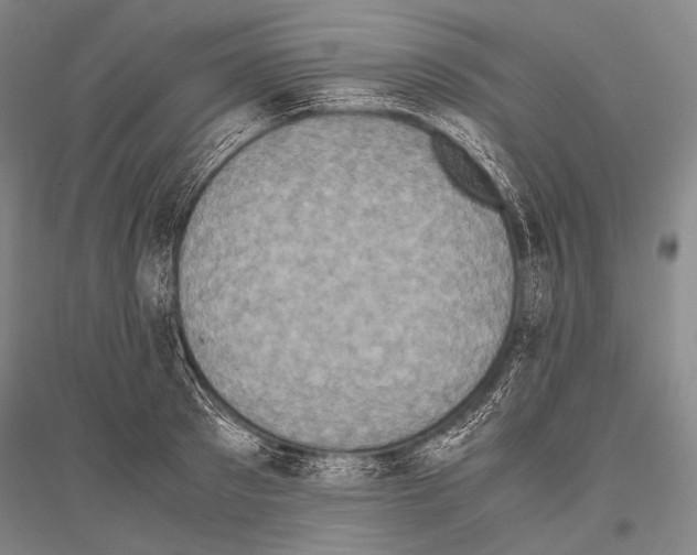 X0000116800897201001291537