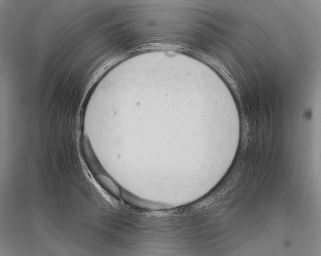 X0000116800898201001291537