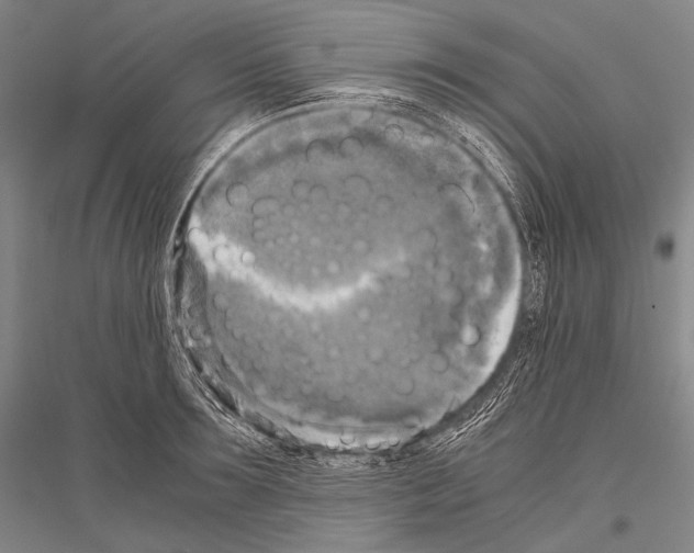 X0000116800899201001291537