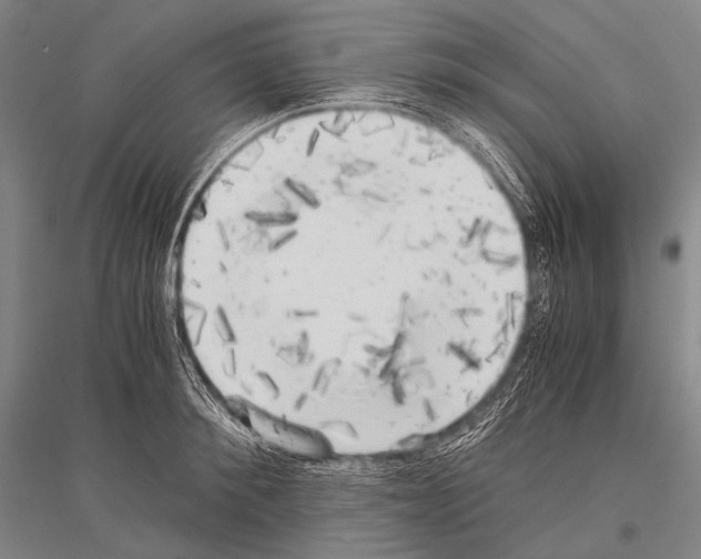 X0000116800900201001291537