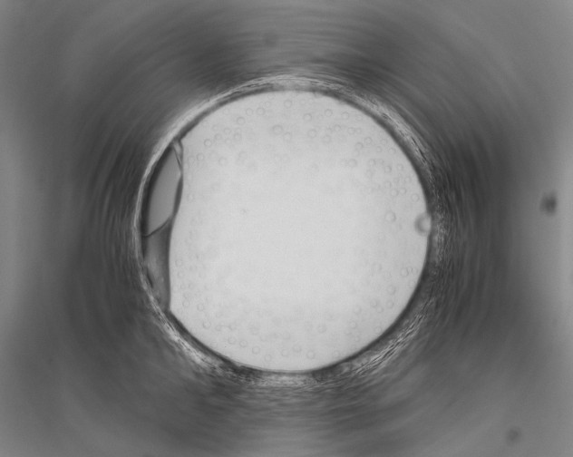 X0000116800902201001291537