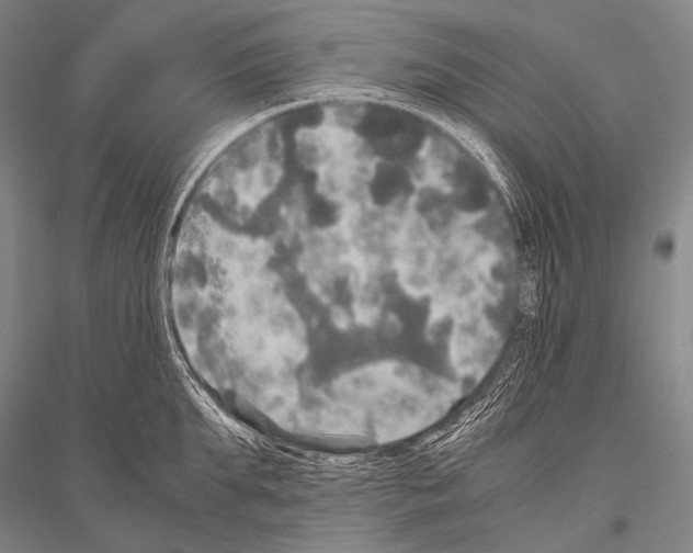 X0000116800903201001291537