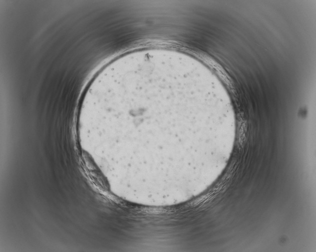 X0000116800904201001291537