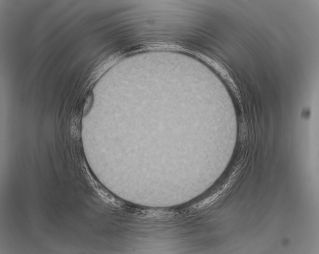 X0000116800905201001291537