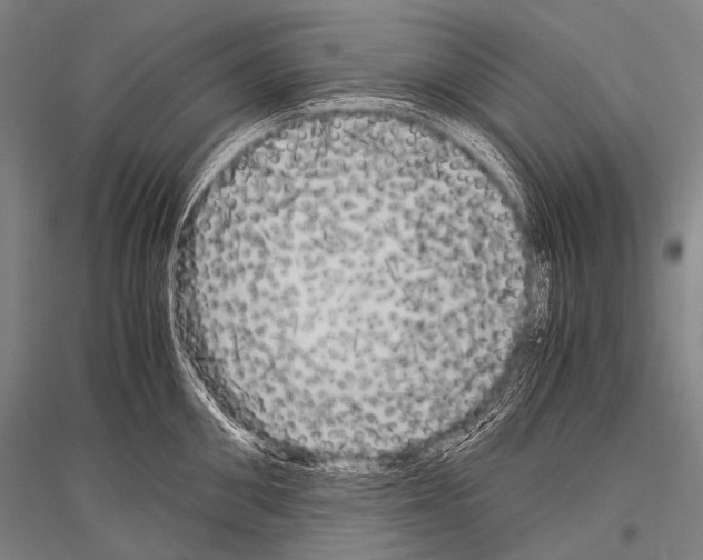 X0000116800906201001291537