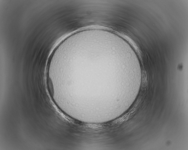 X0000116800910201001291537