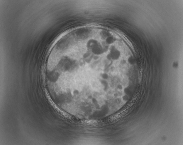 X0000116800911201001291537