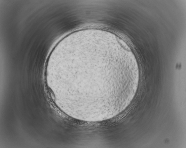 X0000116800912201001291537
