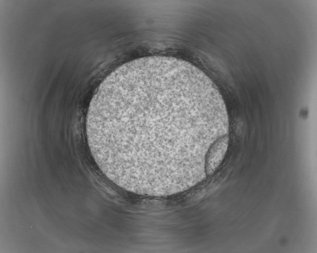 X0000116800914201001291537