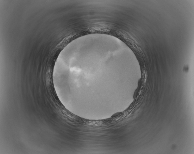 X0000116800915201001291537
