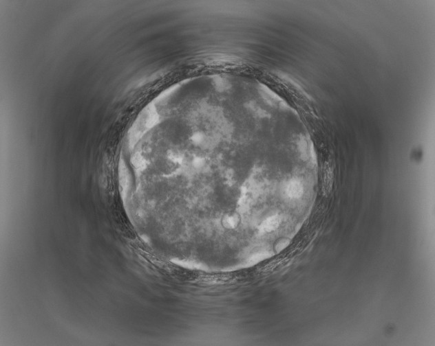 X0000116800917201001291537