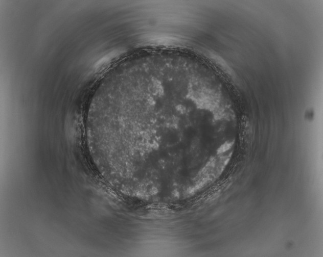 X0000116800918201001291537