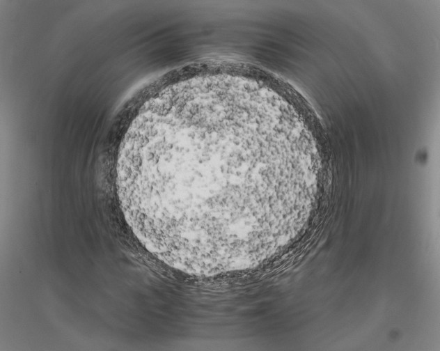 X0000116800919201001291537