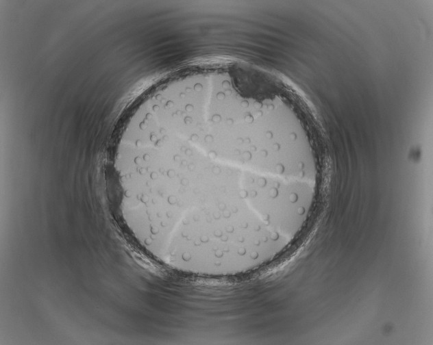 X0000116800921201001291537