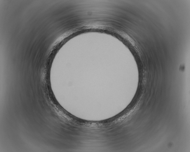 X0000116800922201001291537