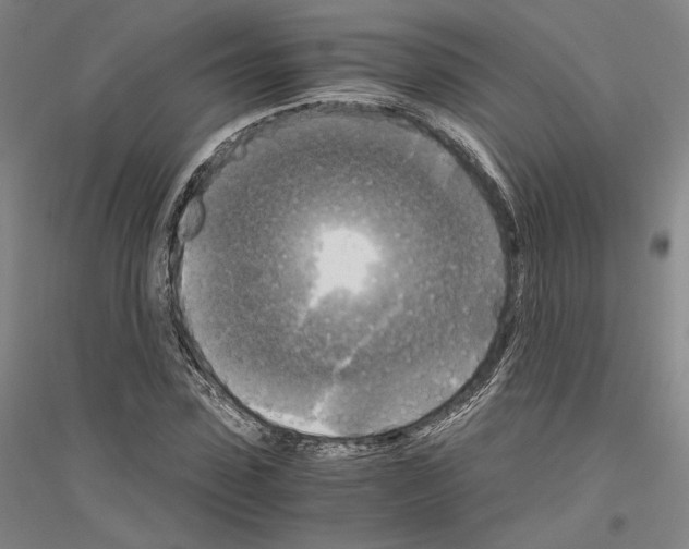 X0000116800923201001291537