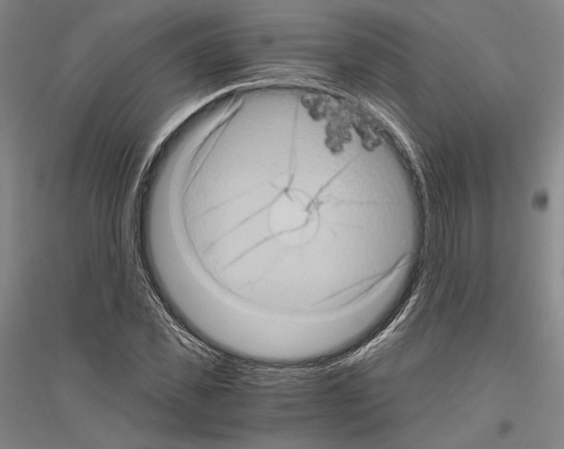 X0000116800925201001291537