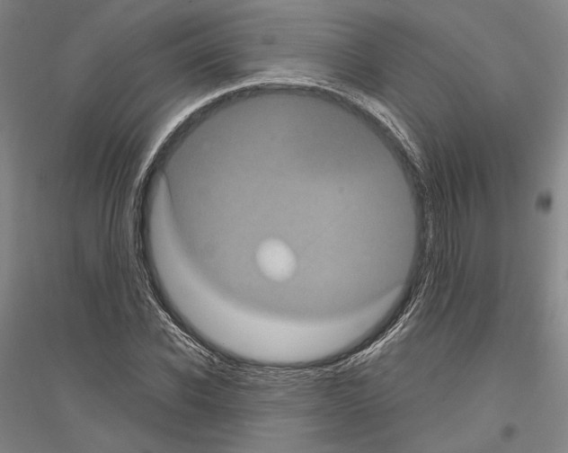 X0000116800926201001291537
